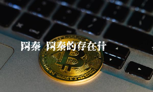 网秦 网秦的存在什么问题