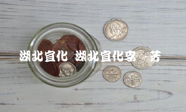 湖北宜化 湖北宜化李艳芳