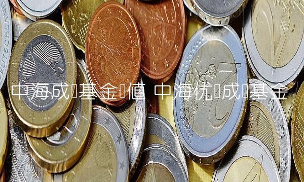 中海成长基金净值 中海优势成长基金