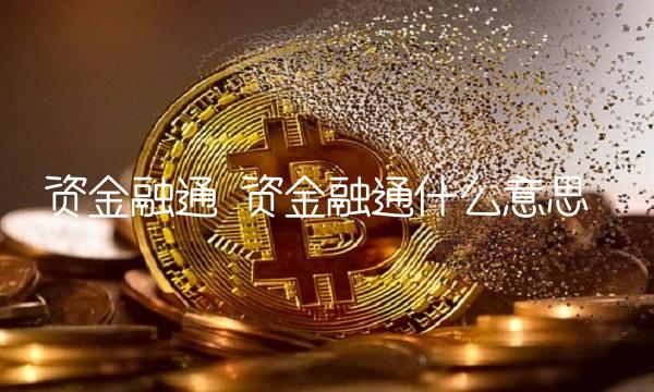 资金融通 资金融通什么意思