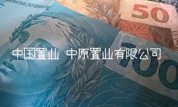 中国置业 中原置业有限公司