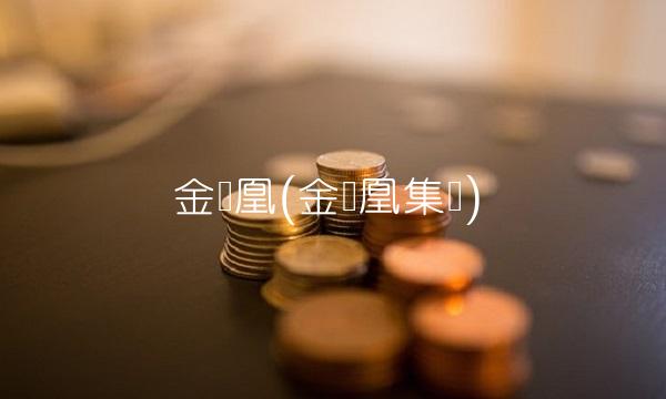 金凤凰(金凤凰集团)