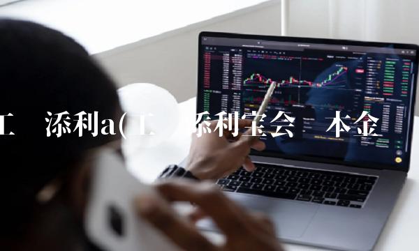 工银添利a(工银添利宝会赔本金吗)