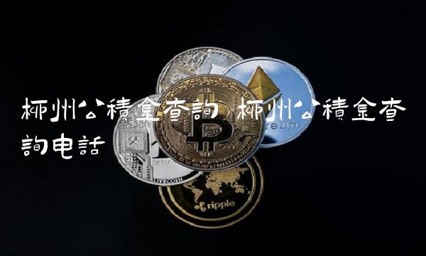 柳州公积金查询 柳州公积金查询电话