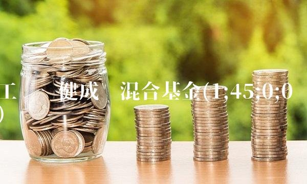 工银稳健成长混合基金(1;45;0;0)